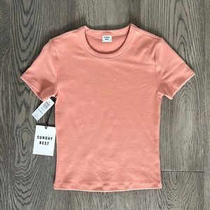 Aritzia Sunday Best Little Ribbed T-shirt XXS